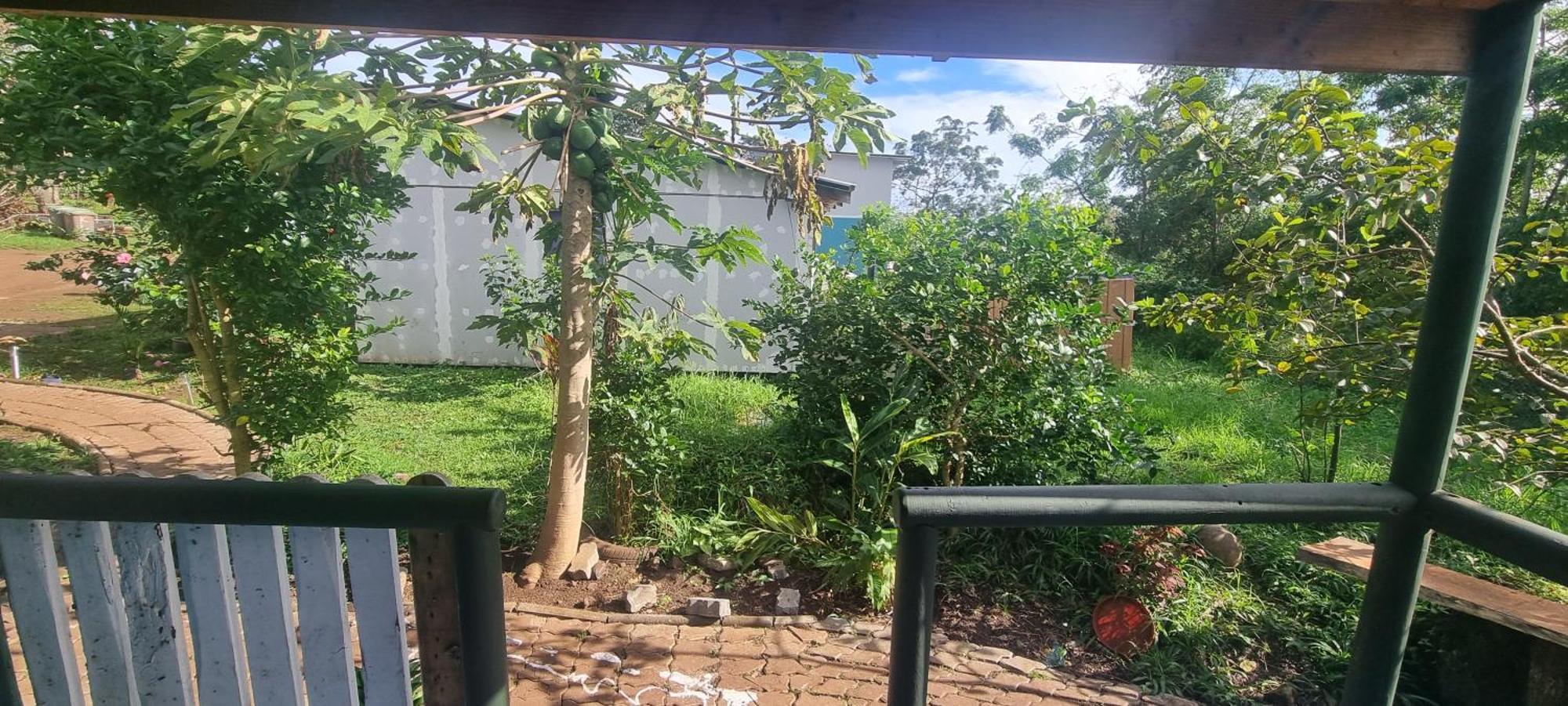 Hostal Henua Roa Hanga Roa Dış mekan fotoğraf